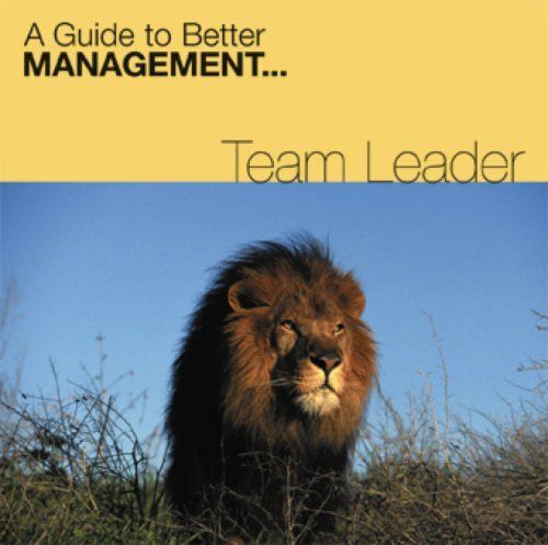 Team Leader