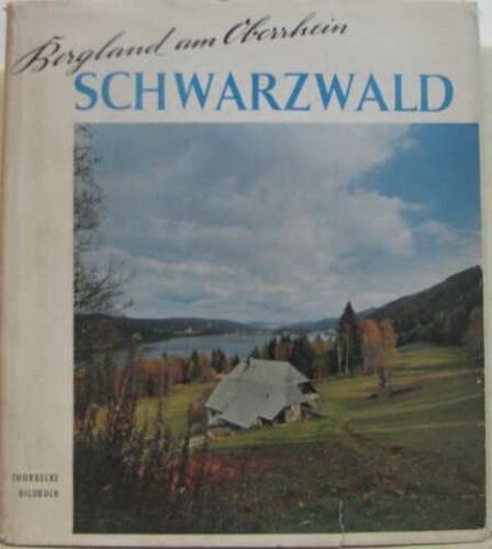 Schwarzwald Bergland Am Oberrhein