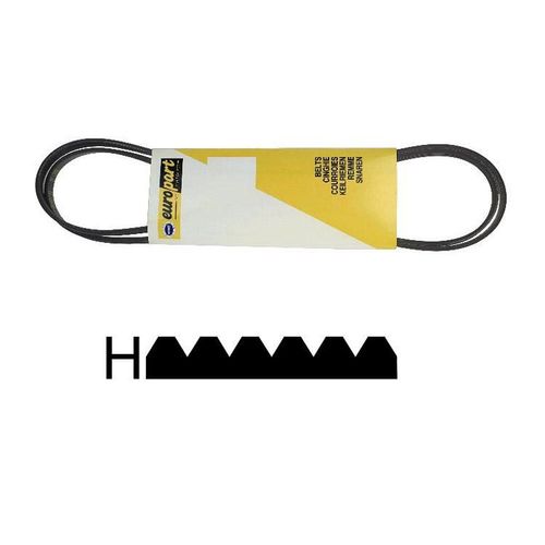 57X1074. COURROIE 1930 H6 MAEL THOMSON