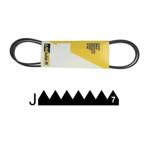 0020300383. COURROIE 1966 H8 PROLINE