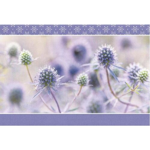 Lot De 5 Cartes Double Volet