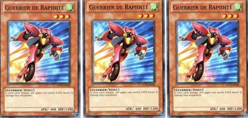 Guerrier De Rapidite  X3  -  Dp10-Fr008