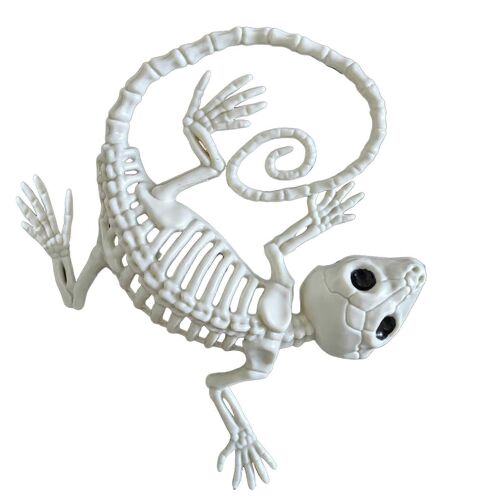Halloween Skeleton Gecko Ornament Plastic Gecko Bone Satue Scary Animal Skeleton Model for Halloween Parties Haunted Houses