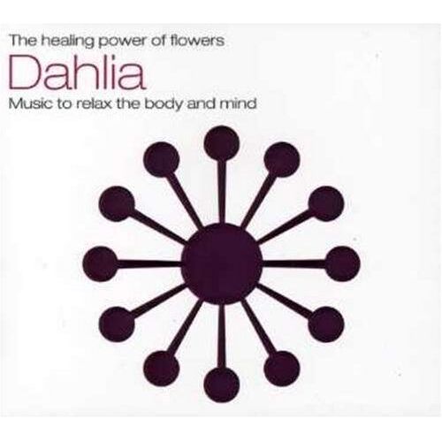 Healing Power Of Dahlia