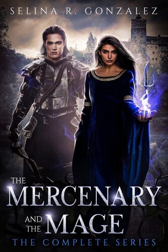 The Mercenary And The Mage