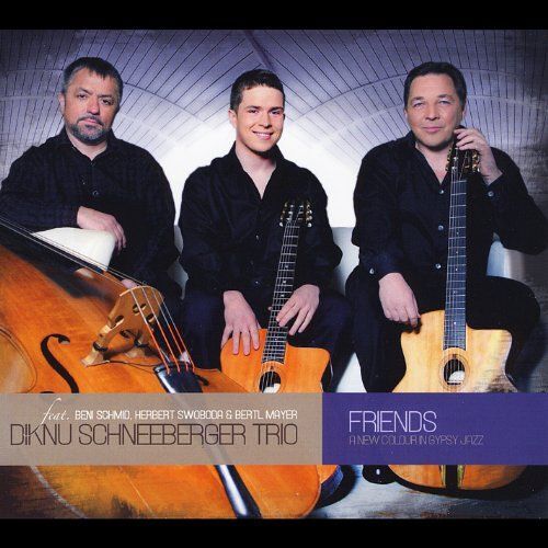 Friends-A New Colour In Gypsy Jazz