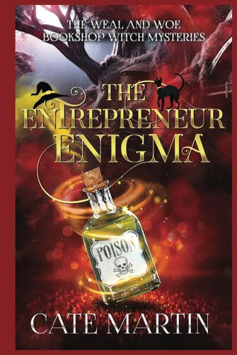 The Entrepreneur Enigma