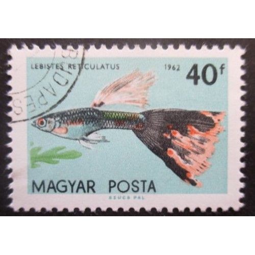 Hongrie N°1497 Poisson Oblitéré