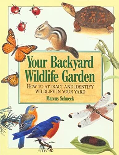 Your Backyard Wildlife Garden: How To Attract And Identify Wildlife In Your Yard