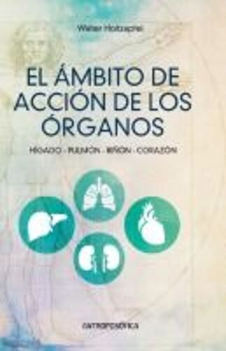 El Ámbito De Acción De Los Órganos