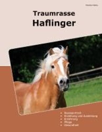 Traumrasse Haflinger