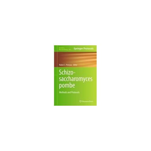 Schizosaccharomyces Pombe