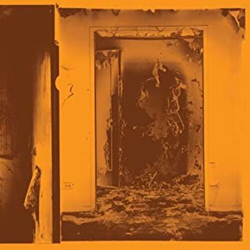 Present Tense - Vinyle 33 Tours