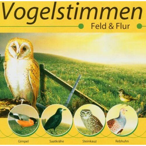 Vogelstimmen:Feld & Flur