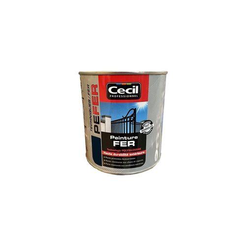 Cécil Peinture PE FER Noir