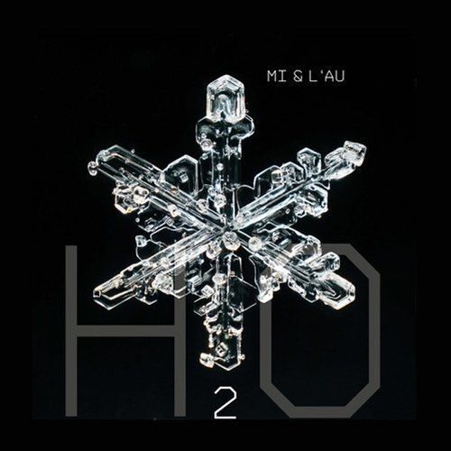 H20