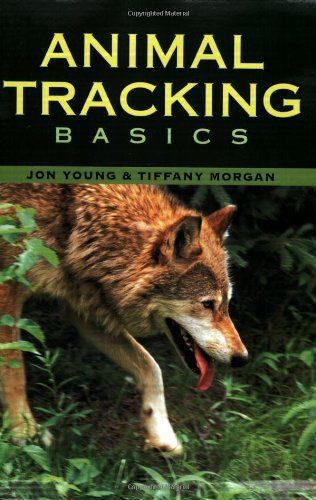 Animal Tracking Basics