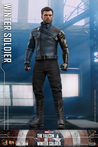 Hot Toys Tms039 Le Faucon Et Le Soldat De L'hiver Figurine Soldat De L'hiver (Winter Soldier) 30cm
