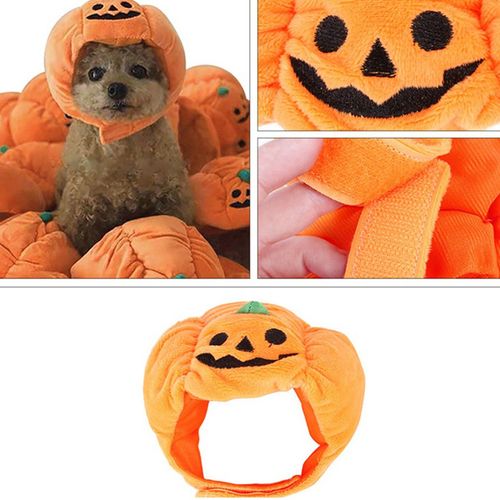 Chapeau De Citrouille Pour Animaux De Compagnie, Chapeau D'Halloween Pour Chien Et Chat, Coiffe Pour Petit Chien Et Chat, Costume Cosplay, Chapeaux Décoratifs Amusants Pour Fête