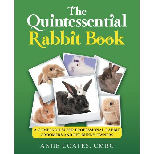 The Quintessential Rabbit Book
