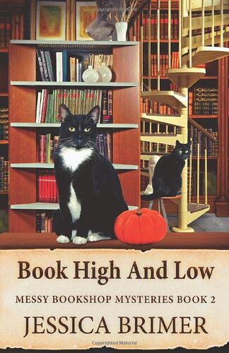 Book High And Low