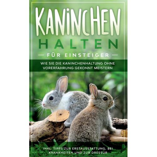 Kaninchen Halten Für Einsteiger