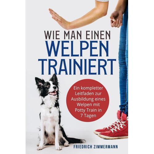 Wie Man Einen Welpen Trainiert