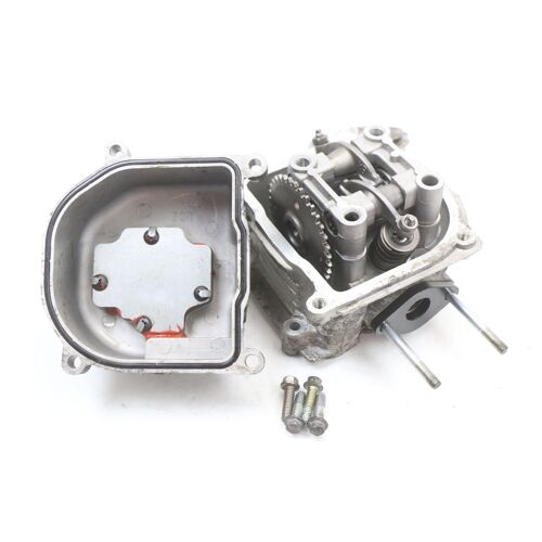 Culasse Universal Bike Zn50qt-11b 50 2018 - 2021 / 195575