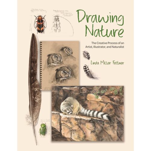 Drawing Nature