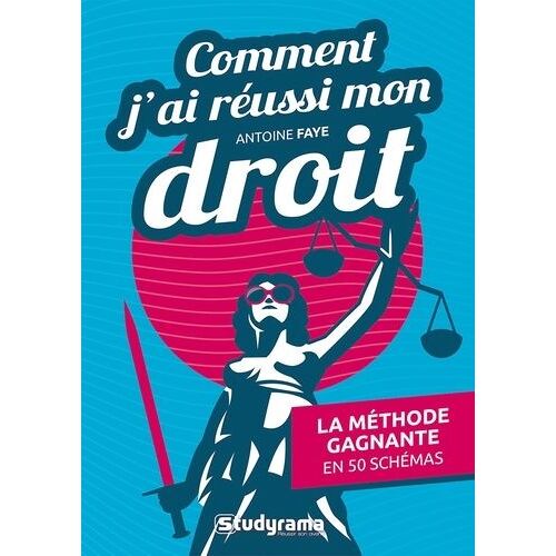 Comment J'ai Réussi Mon Droit - La Méthode Gagnante En 50 Schémas