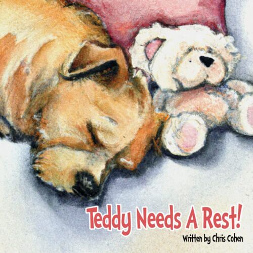 Teddy Needs A Rest!