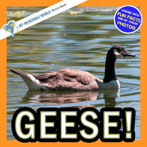 Geese!: A My Incredible World Picture Book For Children (My Incredible World: Nature And Animal Picture Books For Children)
