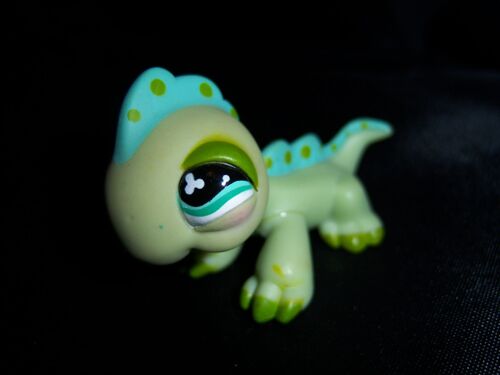 Petshop Iguane N°499