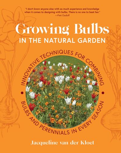 Growing Bulbs In The Natural Garden