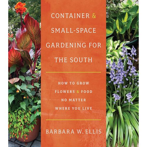 Container And Small-Space Gardening For The South