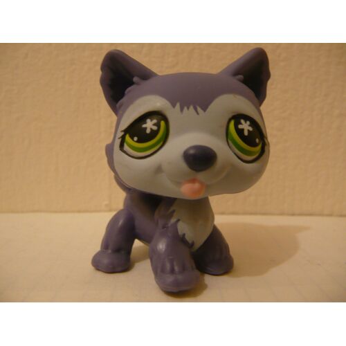 Petshop Chien Husky N° 487