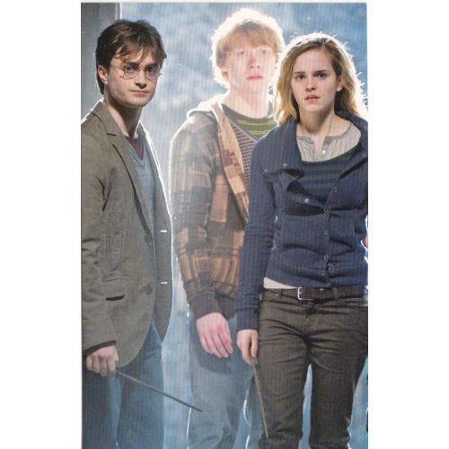 Cp " Harry Potter Et Les Reliques De La Mort, Partie 1 : Harry, Ron Et Hermione ".