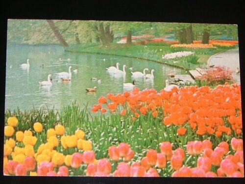 Carte Postale De Hollande: Parc Floral De Keukenhof