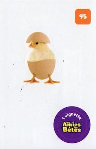 Autocollant Sticker Image Spa, Nos Amies Les Bêtes : 95 - Ferme Poussin Oeuf / Cora Match 2024
