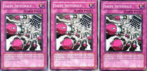 Salve Integrale   X3  -  Soi-Fr056