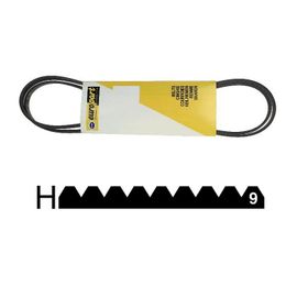 2953240200. COURROIE 1967 H9 POLY V BEKO