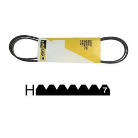 2962470100. COURROIE 1956 H7 MAEL BEKO