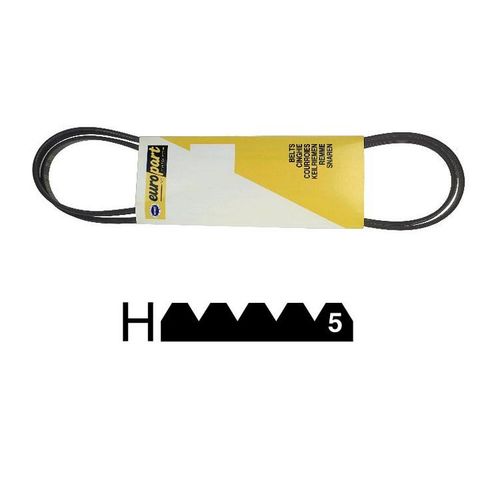 333590. COURROIE 1975 H5 POLY V DIVERS MARQUES