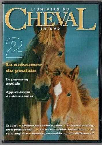 L Univers Du Cheval  N 2  La Naissance Du Poulin