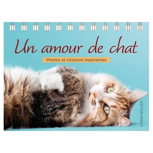 Un Amour De Chat - Pensées Et Citations Inspirantes