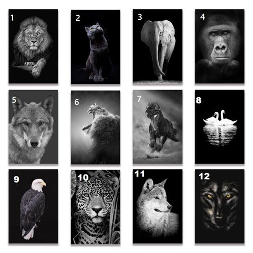 Peinture Impression Hd Sur Toile Animaux, Modele: , Taille: 20x25cm