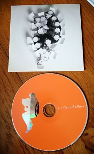 Album Cd Tribute To Dick Annegarn" 16 Tires : Mathieu Chédid, Alain Bashung,Thomas Fersen, Calogero, Benabar, Arthur H, Jp Nataf, Sanseverino, Arno .. Édition Pochette Cartonnée Destinée Aux Médias