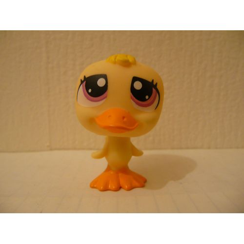 Petshop Canard N° 1374