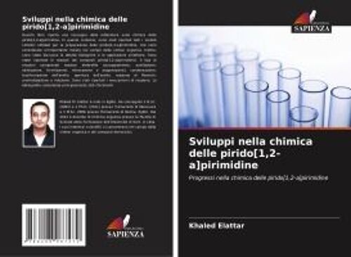 Sviluppi Nella Chimica Delle Pirido[1,2-A]Pirimidine