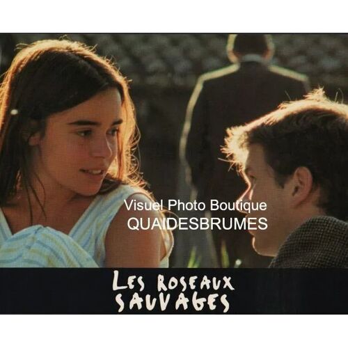 Les Roseaux Sauvages: Jeu De 4 Photos D'exploitation Cinématographique - Format 24x30 Cm - De André Téchiné Avec Élodie Bouchez, Gaël Morel, Stéphane Rideau, Frédéric Gorny, Michèle Moretti - 1994